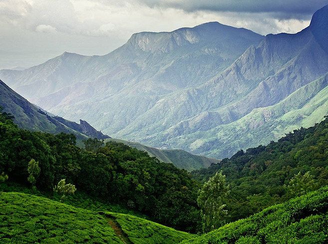 Munnar Kerala Tour